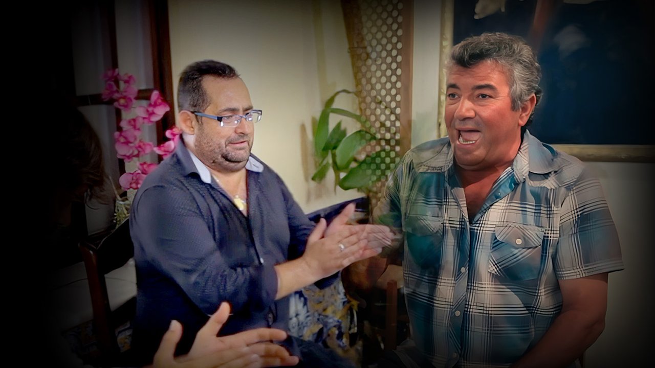 Bolinus Brandaris. Flamenco from The Bay of Cádiz